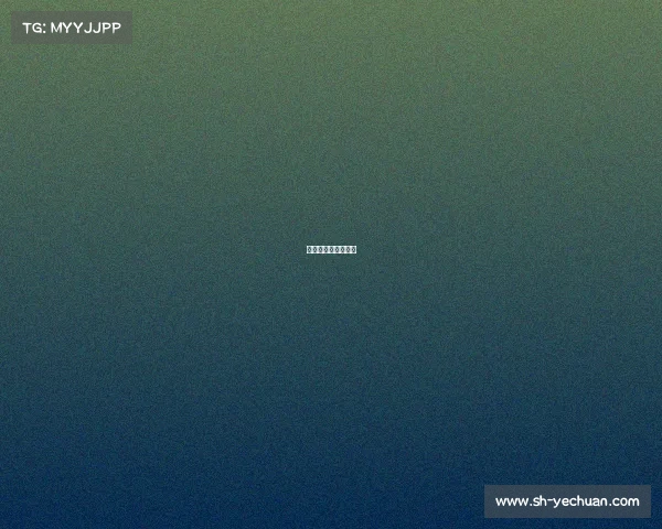 常规赛最高连胜纪录